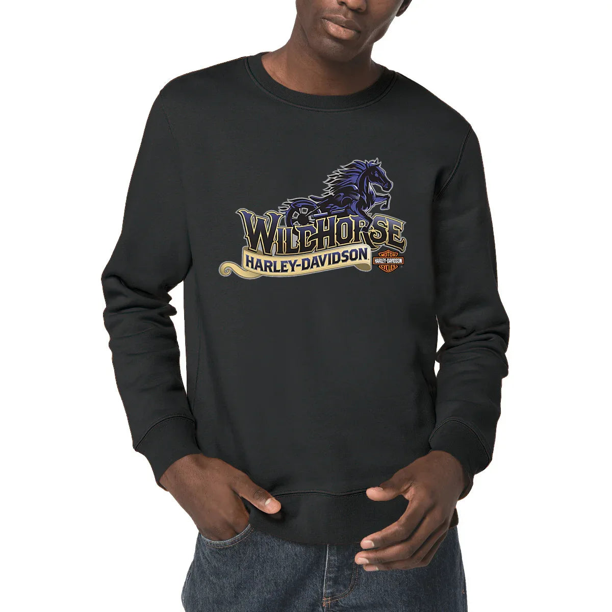 0625_Harley-Davidson_Wild_Horse_-_Sweat-shirt_noir_1 - CultureMoto