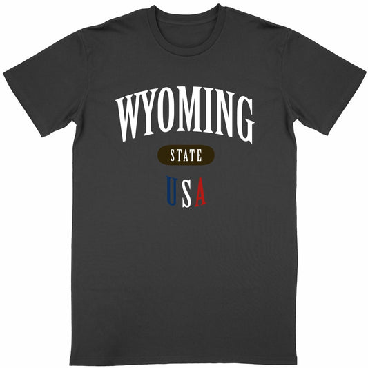 T-shirt noir unisexe manches courtes U.S. 50 States